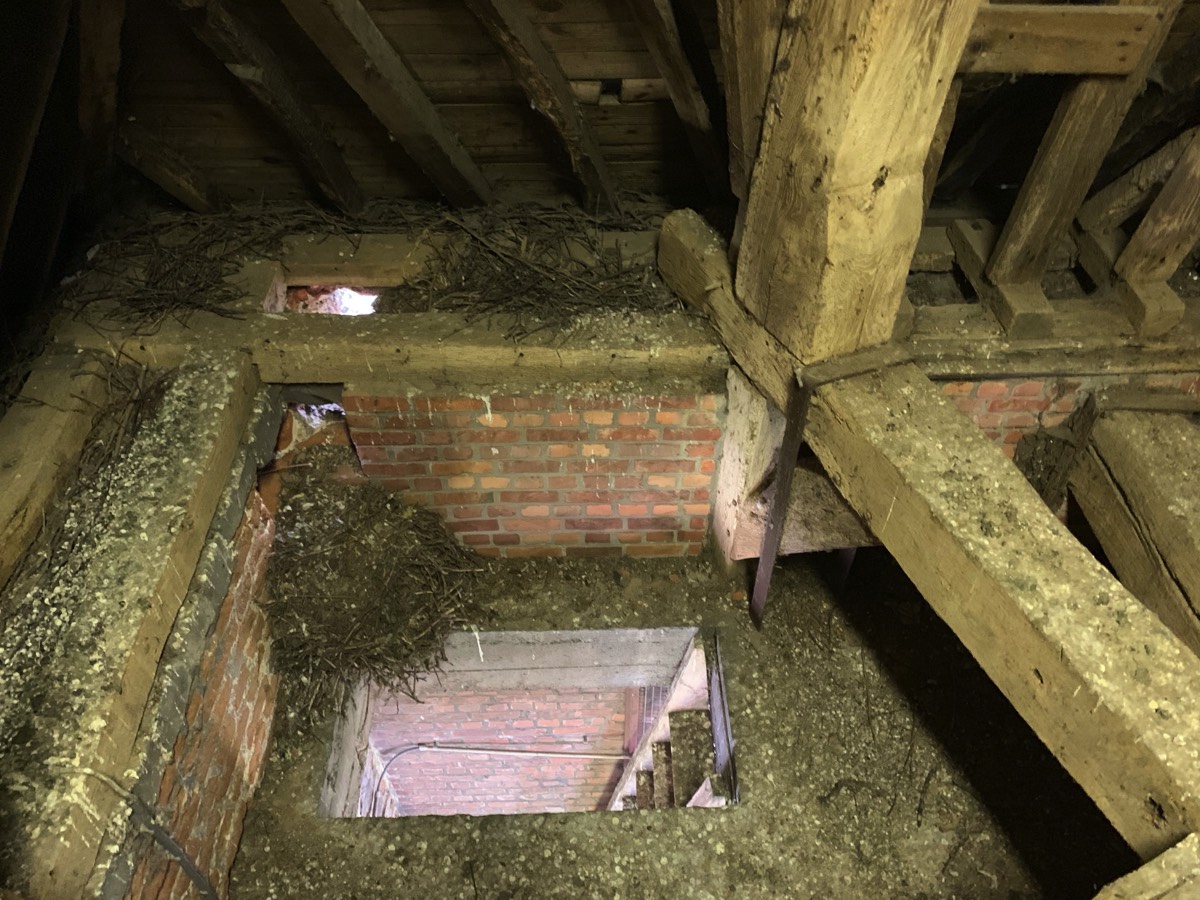 Stacks Image 81