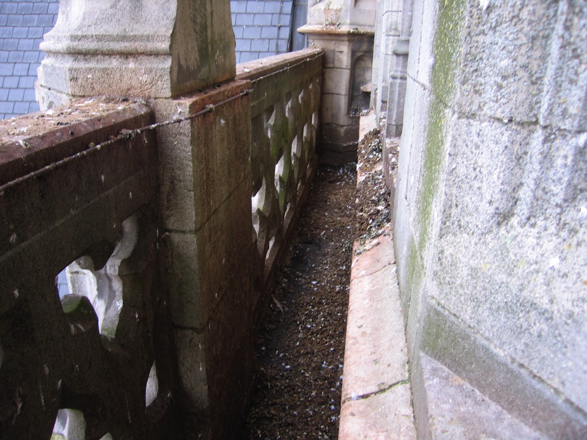 Stacks Image 49